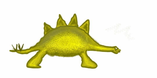 image four